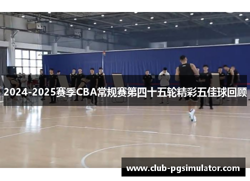 2024-2025赛季CBA常规赛第四十五轮精彩五佳球回顾