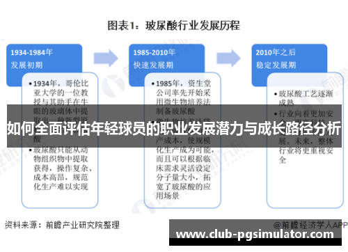 如何全面评估年轻球员的职业发展潜力与成长路径分析