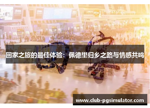 回家之旅的最佳体验：佩德里归乡之路与情感共鸣