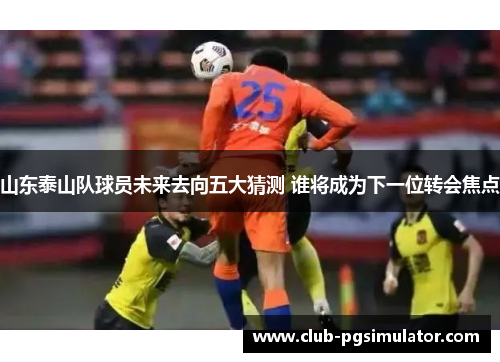 山东泰山队球员未来去向五大猜测 谁将成为下一位转会焦点