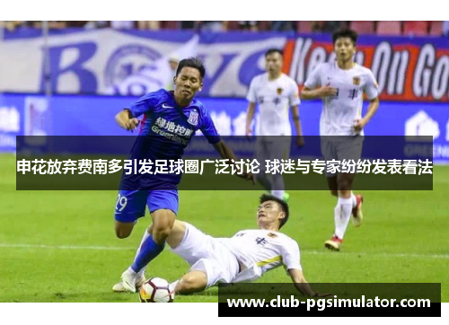 申花放弃费南多引发足球圈广泛讨论 球迷与专家纷纷发表看法