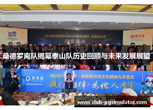 桑德罗离队揭幕泰山队历史回顾与未来发展展望