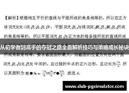 从初学者到高手的夺冠之路全面解析技巧与策略成长秘诀