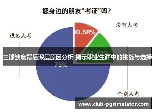 三球缺席背后深层原因分析 揭示职业生涯中的挑战与选择