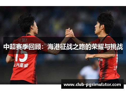 中超赛季回顾：海港征战之路的荣耀与挑战