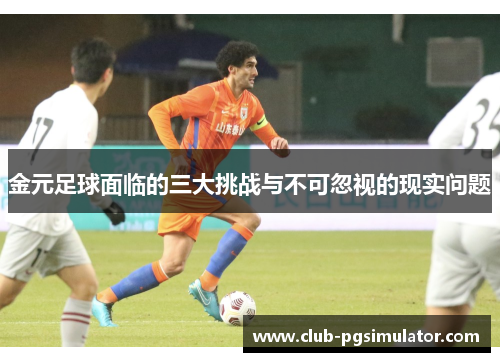 金元足球面临的三大挑战与不可忽视的现实问题